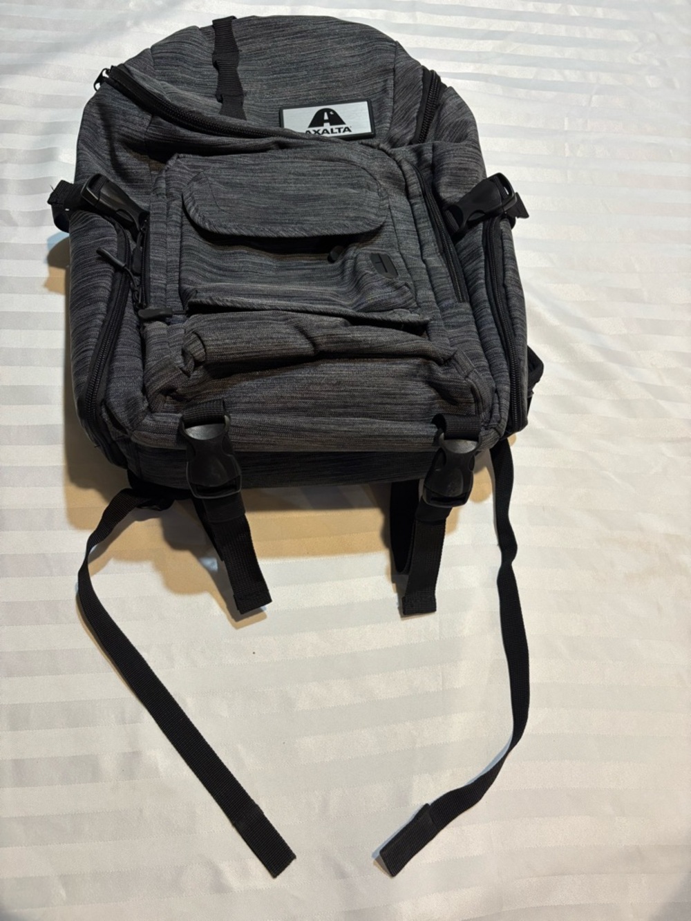 Origaudio Axalta Gray Backpack With Multiple Compartments (Good Condition)